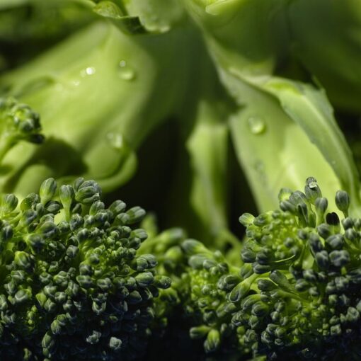Mangiare Broccoli ogni giorno: i benefici per la salute e il controllo della glicemia