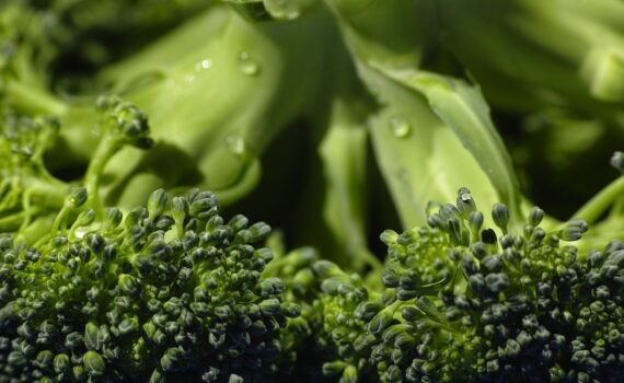 Mangiare Broccoli ogni giorno: i benefici per la salute e il controllo della glicemia