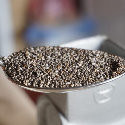 Mangiare Semi di Chia Tutti i Giorni: Cosa dice la Scienza