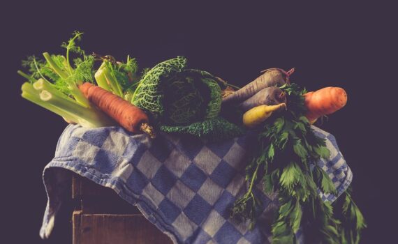 La dieta biologica favorisce il miglioramento del microbioma intestinale