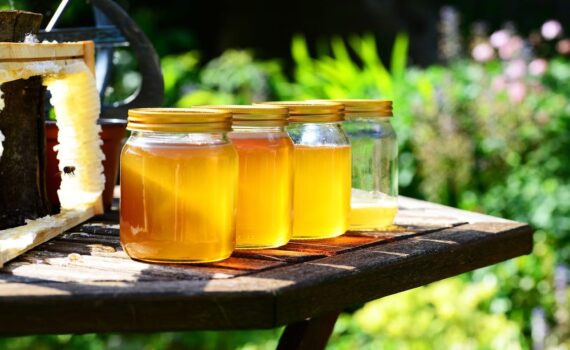 Bere acqua e miele al mattino: i benefici per la salute