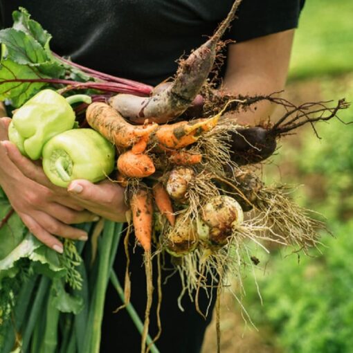 Come fare il pieno di vitamine senza l'uso di integratori