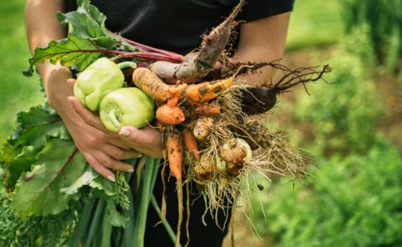 Come fare il pieno di vitamine senza l'uso di integratori