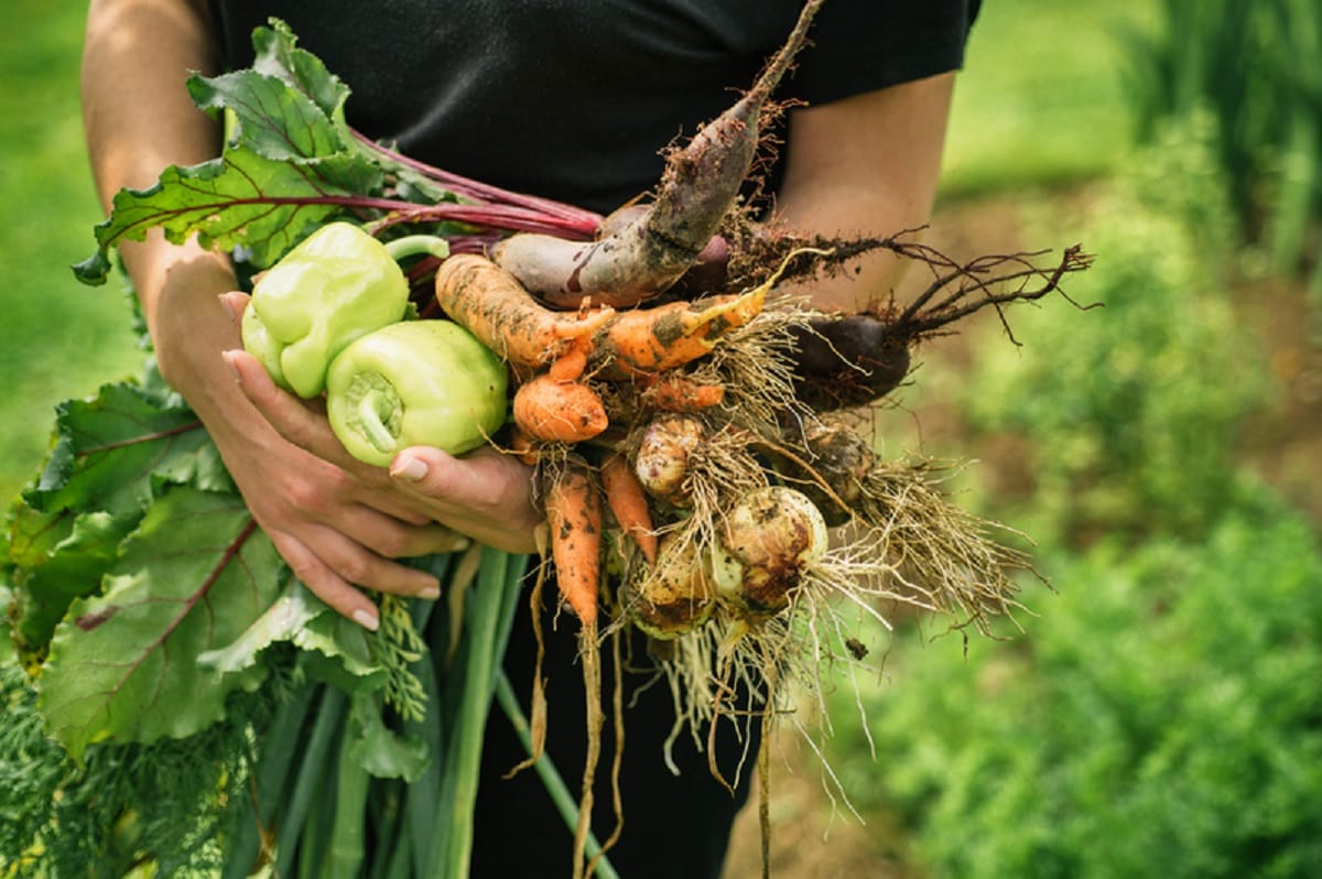 Come fare il pieno di vitamine senza l'uso di integratori