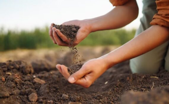 Scoperto nel giardino di casa un potente antibiotico contro i superbatteri
