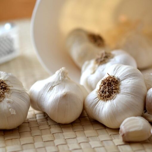 L’aglio: un antibiotico nutrizionale nella dieta romana e moderna