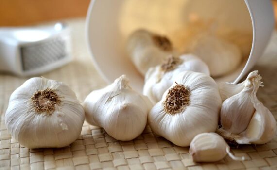 L’aglio: un antibiotico nutrizionale nella dieta romana e moderna