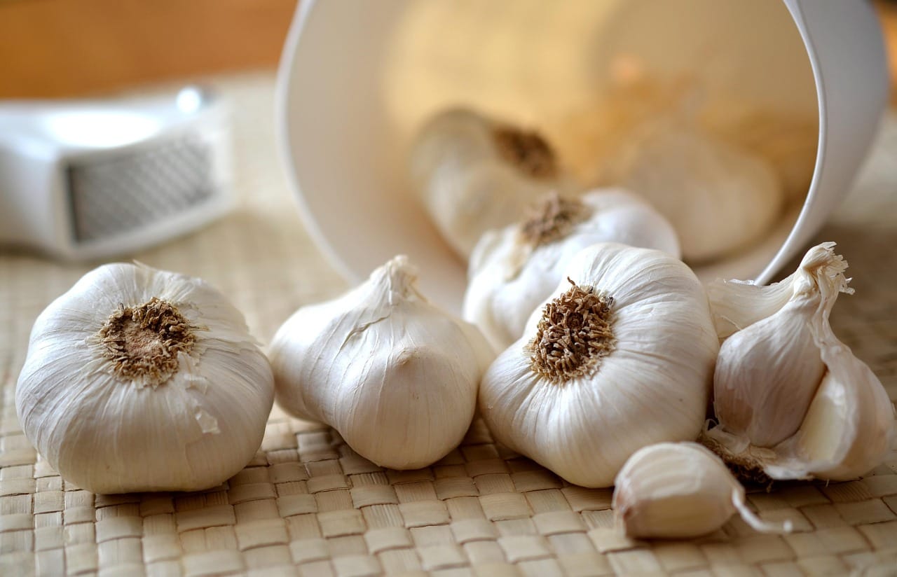 L’aglio: un antibiotico nutrizionale nella dieta romana e moderna