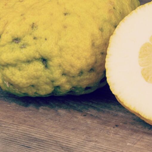 Tutte le virtù del cedro: un agrume straordinario e come consumarlo