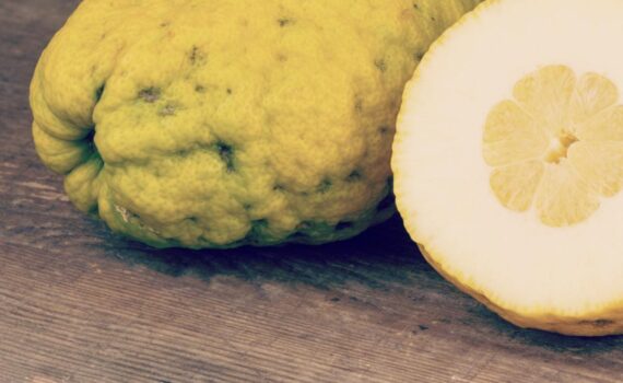 Tutte le virtù del cedro: un agrume straordinario e come consumarlo