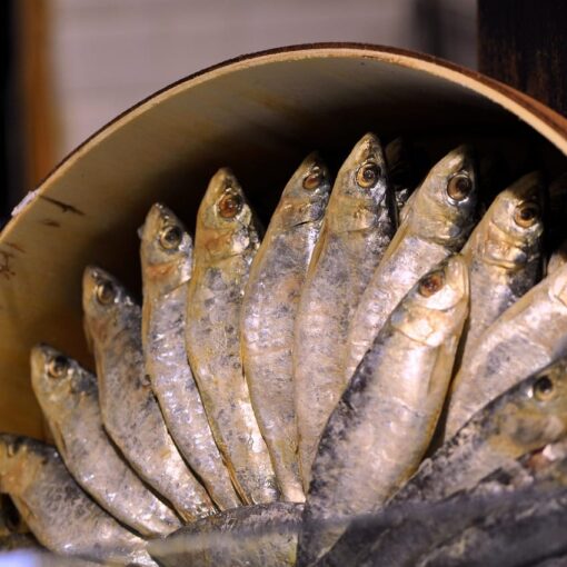Pesce azzurro: ecco i migliori 5 pesci che fanno bene