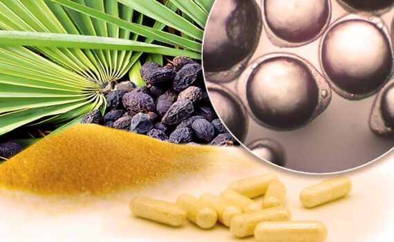 Serenoa Repens: Un Alleato Naturale per la Salute della Prostata