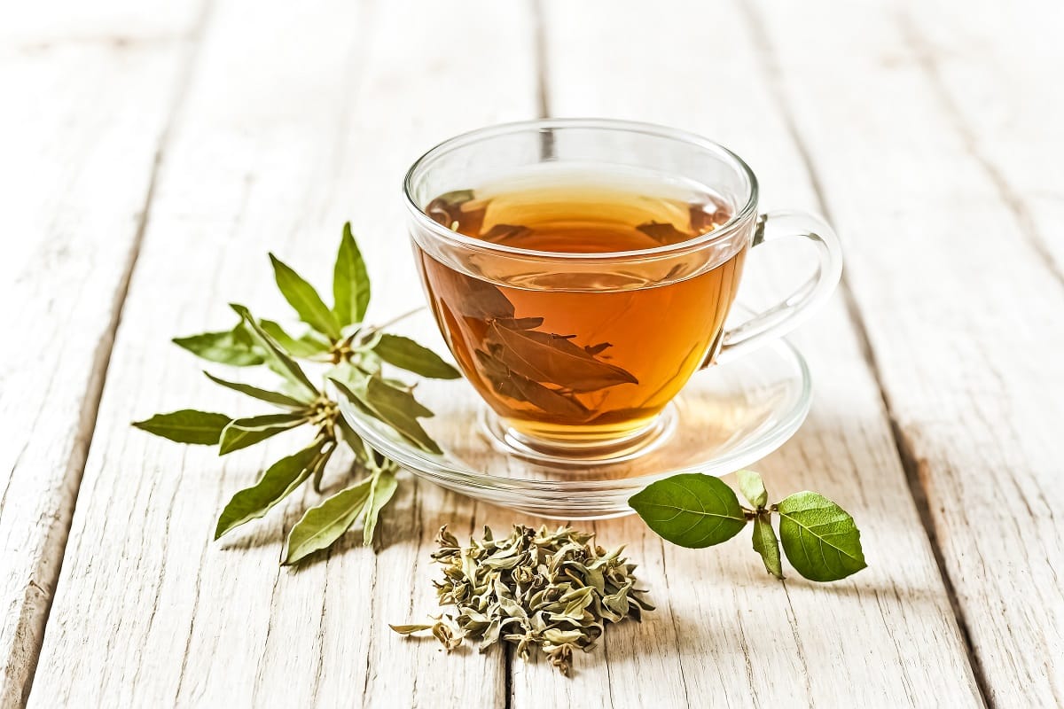 Tisana al carciofo: per depurare il fegato e digerire meglio