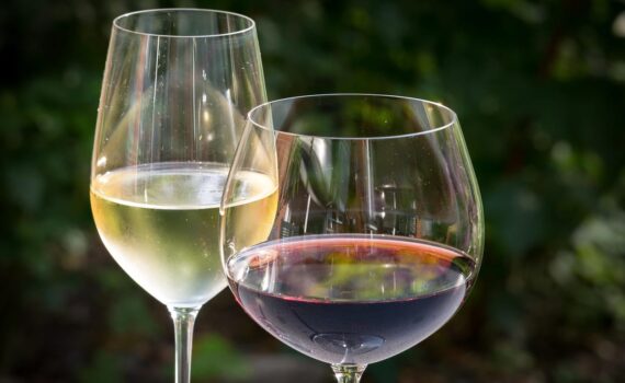 Vino Rosso e Bianco: Qual è il Rischio di Cancro? Scopri la Verità!