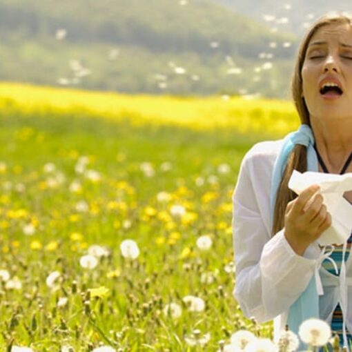 Allergie in aumento: il cambiamento climatico prolunga la stagione dei pollini