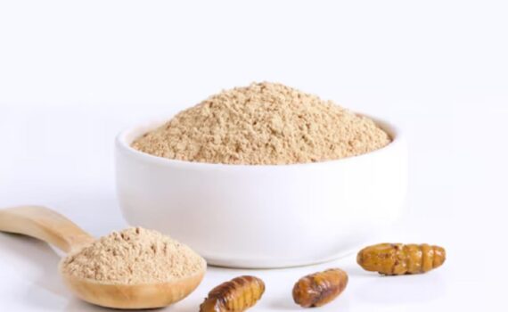 Allerta Farina di Larve: ecco in quali alimenti la trovi