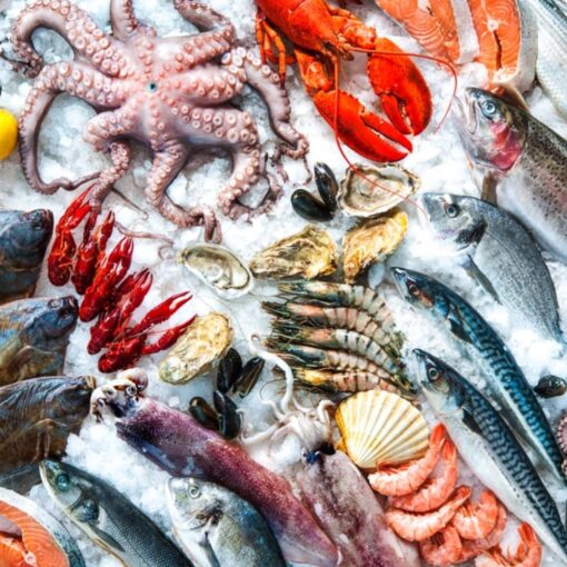 Mangiare pesce fa bene? Attenzione al mercurio: nuove indicazioni del CNSA