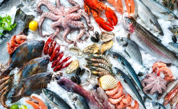 Mangiare pesce fa bene? Attenzione al mercurio: nuove indicazioni del CNSA