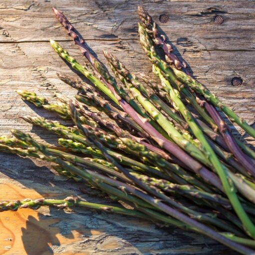 Asparagi selvatici: buoni sì, ma con rischio intossicazione I Lo studio