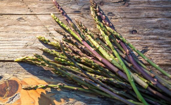 Asparagi selvatici: buoni sì, ma con rischio intossicazione I Lo studio