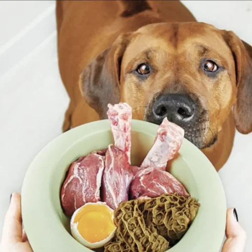 Alimentazione BARF per Cani: Tutto Quello che Devi Sapere per una Dieta Sana
