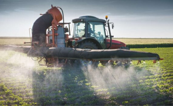 Pesticidi nascosti nelle case? Ecco cosa rivela una ricerca europea shock