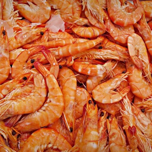 Richiamo di gamberi rosa e pesce spada: presenza di mercurio oltre i limiti