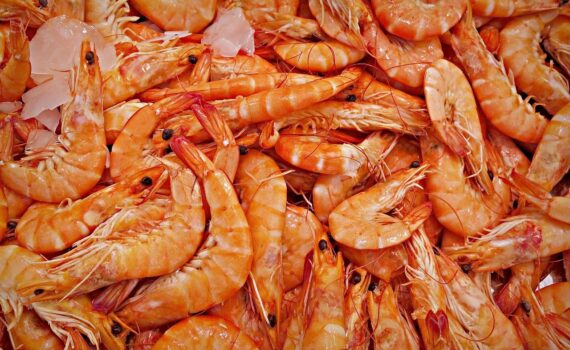 Richiamo di gamberi rosa e pesce spada: presenza di mercurio oltre i limiti