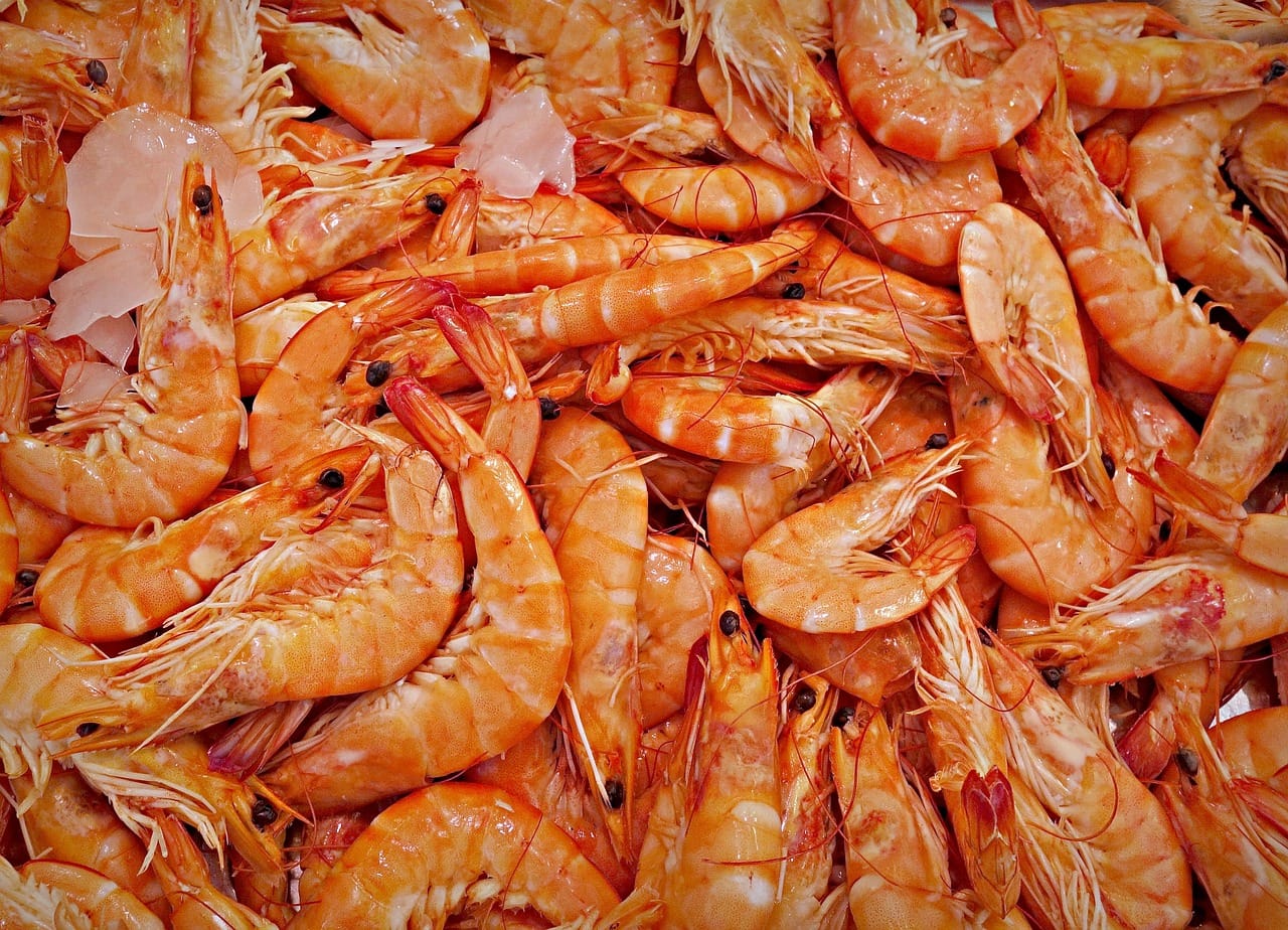 Richiamo di gamberi rosa e pesce spada: presenza di mercurio oltre i limiti