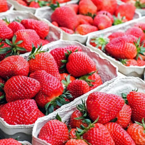 Fragole e pesticidi: cosa emerge dai nuovi test di laboratorio? Il frutto simbolo della primavera nasconde un lato oscuro