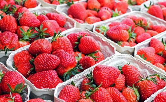 Fragole e pesticidi: cosa emerge dai nuovi test di laboratorio? Il frutto simbolo della primavera nasconde un lato oscuro