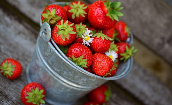Coltivare fragole a partire dal frutto: è possibile e come farlo