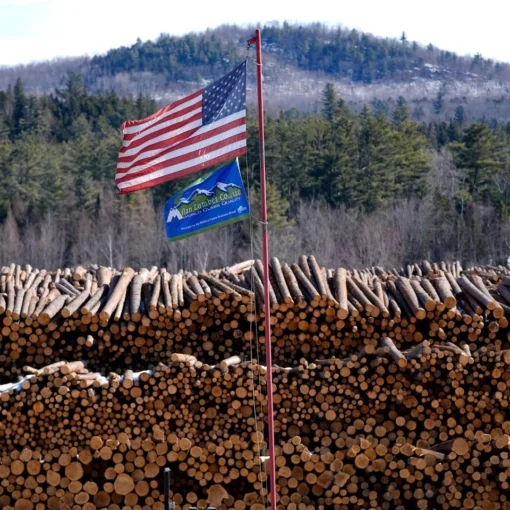 Trump firma l’ordine per disboscare le foreste mezza America