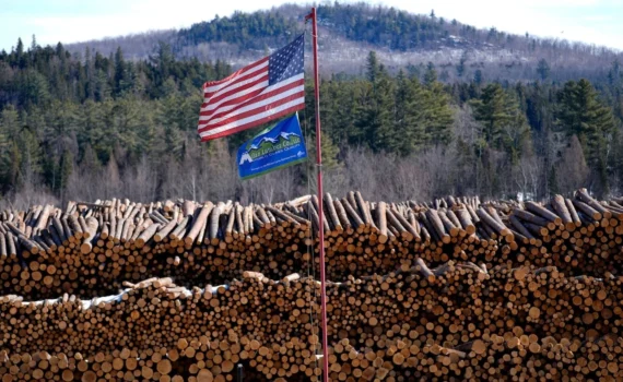Trump firma l’ordine per disboscare le foreste mezza America