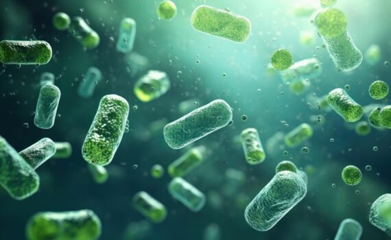 L’incredibile potere del microbiota: il segreto della nostra salute