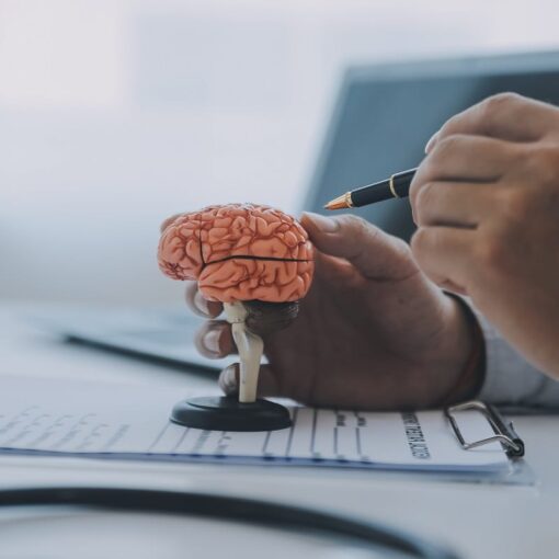 La coscienza non nasce dove pensavamo: il talamo al centro della scen