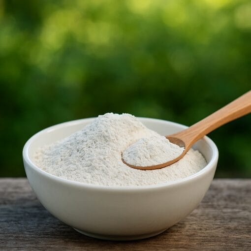 Terra di Diatomee: il rimedio naturale più efficace contro pulci, zecche e insetti domestici