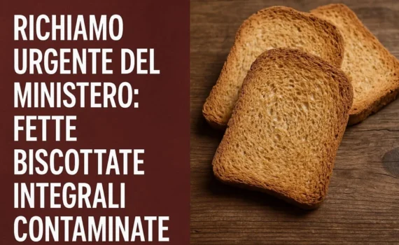 Fette biscottate integrali richiamate dal Ministero: micotossine oltre i limiti in marchi noti