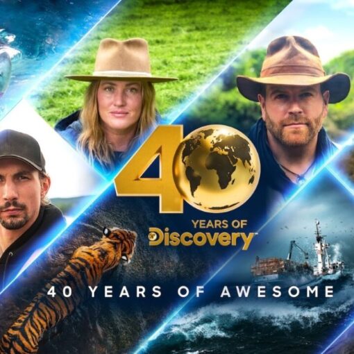 Discovery Channel in chiaro in Italia: guerra aperta a Focus con contenuti mozzafiato