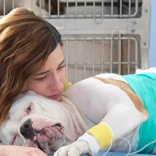 Blanca 3, addio a Linneo: perché il cane guida non sarà nella nuova stagione