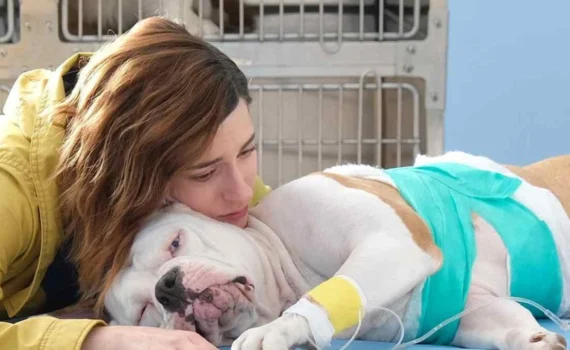 Blanca 3, addio a Linneo: perché il cane guida non sarà nella nuova stagione