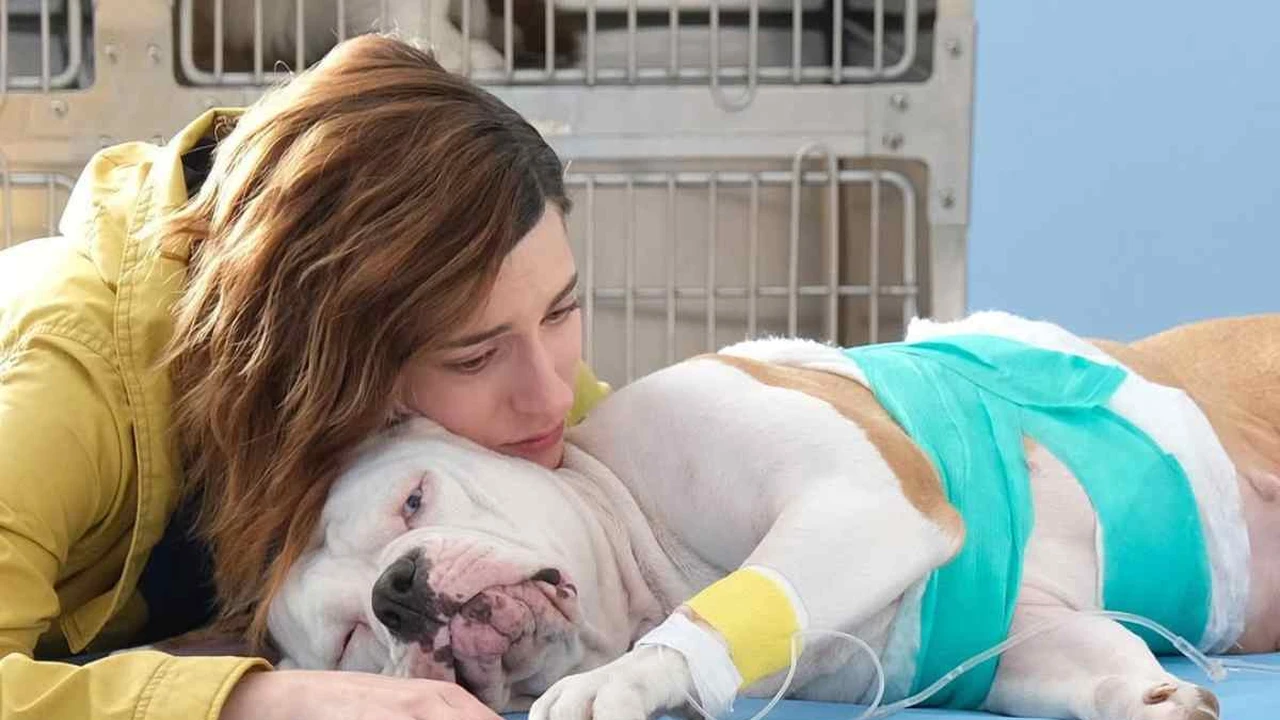 Blanca 3, addio a Linneo: perché il cane guida non sarà nella nuova stagione