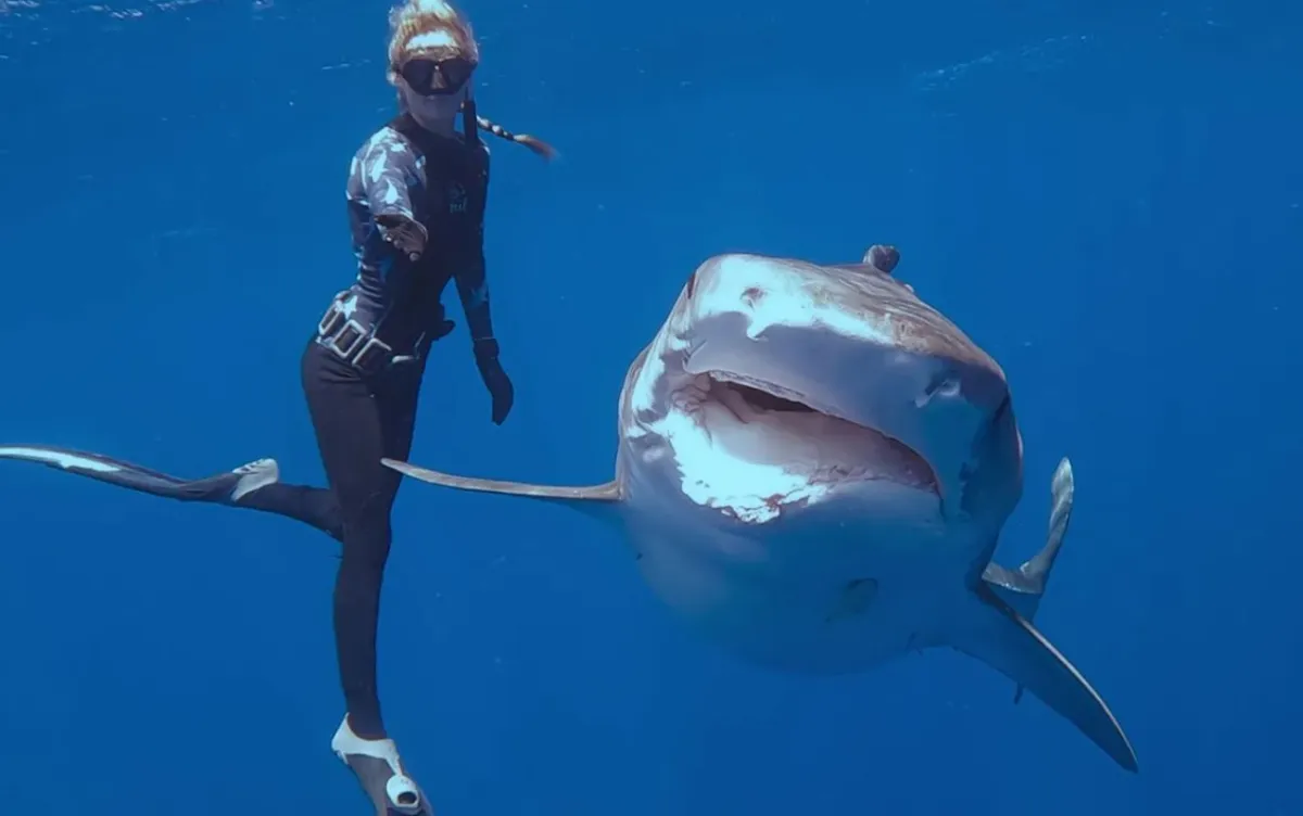 Chi è Ocean Ramsey, la biologa che sfida gli squali senza gabbia nel docu-film di Netflix