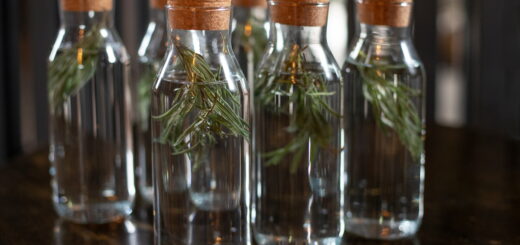 Acqua di Rosmarino: Un Aiuto Naturale per la Memoria e il Benessere Cognitivo