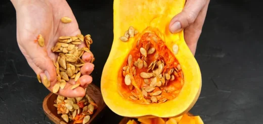 Come raccogliere e preparare i semi di zucca: guida completa dalla pianta alla tavola