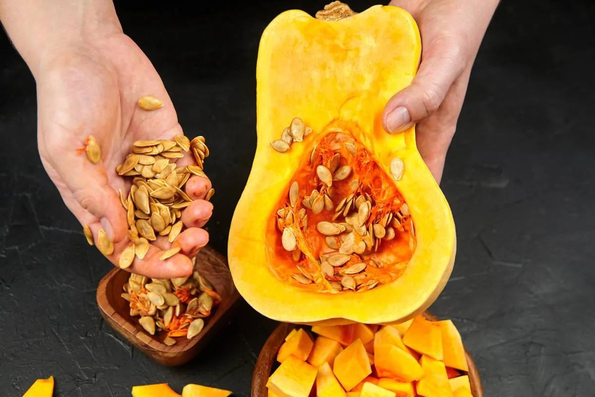 Come raccogliere e preparare i semi di zucca: guida completa dalla pianta alla tavola