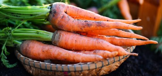 Mangiare carote tre volte a settimana: ecco come questa semplice abitudine può migliorare la tua